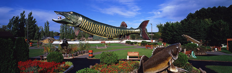 Giant Musky at the World Fishing Hall of Fame, Hayward